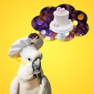 A Caketu cockatoo in a chef's hat dreaming of cake.